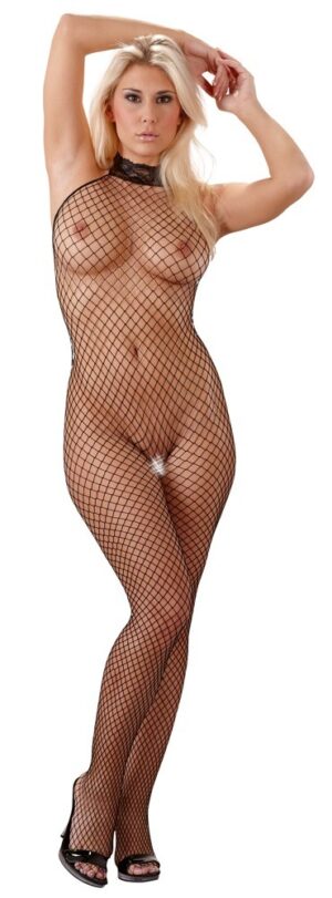 Pikante Net Catsuit.
