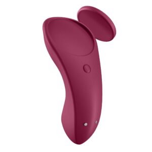 Sexy Secret Panty Vibrator.