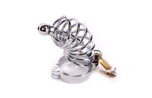 Chastity Cage whit Penis Stick
