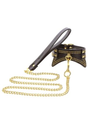Stud halsband en riem